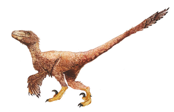 Deinonychus Deinon (for short)